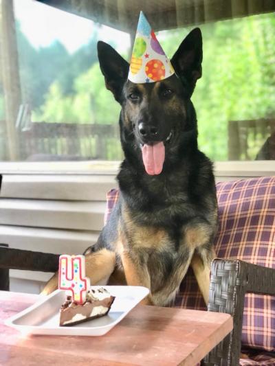 Ace's 4th Birthday Party