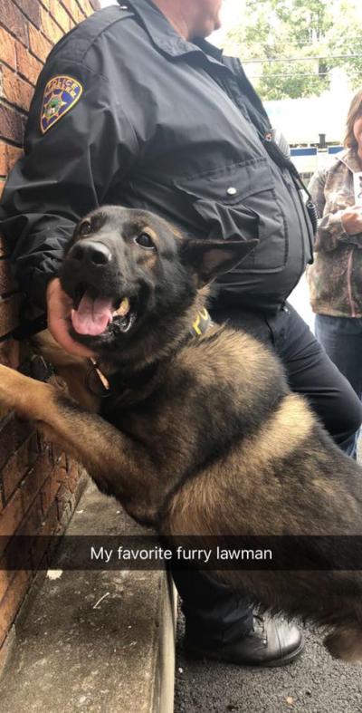 K-9 and his owner